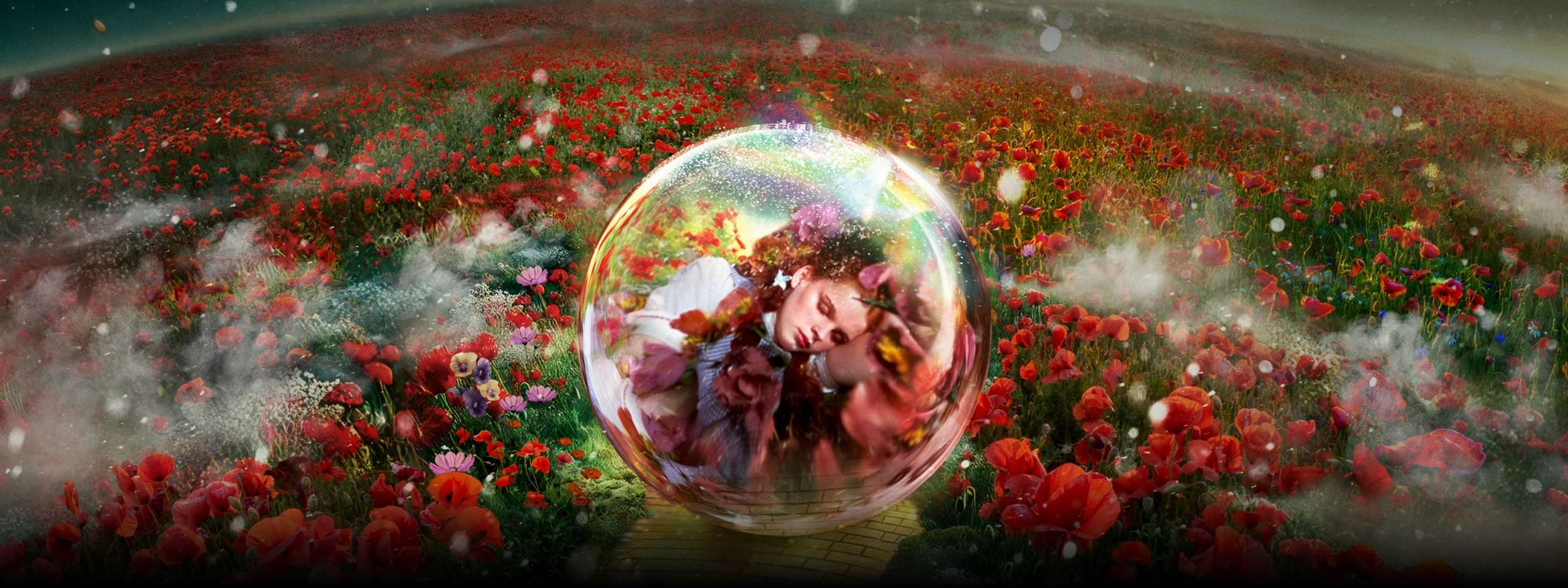 What’s Next for The Wizard of Oz at Sphere